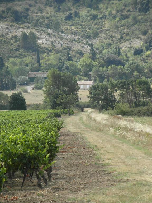 Bergerie Du Plo Villa Montlaur  Dış mekan fotoğraf